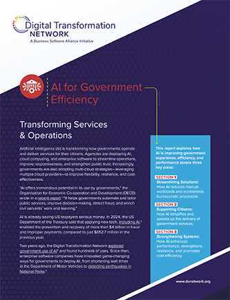 AI for Government Efficiency